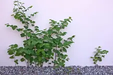 DSCF8544.webp