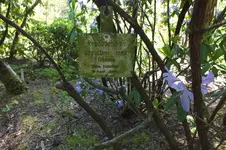 DSCF5809.webp