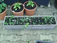 BILD5184.webp