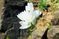DSCF5851 (2).webp