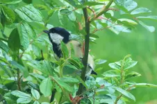 DSCF5887 (2).webp