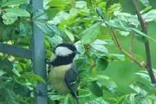 DSCF5889 (2).webp