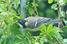 DSCF5892 (2).webp