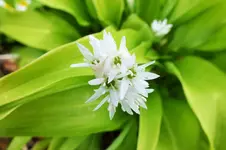 DSCF5876 (2).webp