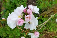 DSCF5881 (2).webp