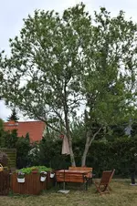 DSCF8557.webp