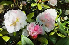 DSCF5816 (2).webp