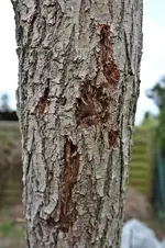 DSCF8559.webp