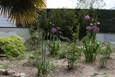 Blick Richtung L_Steine.webp