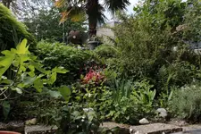 Teich_rechts 160514.webp