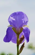 portoroz2.webp