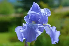 unbekanntvorne2.webp