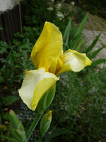 P1110827.webp