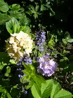 P1110835.webp