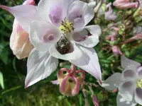 CIMG2077.webp
