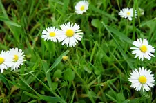 DSC01571.webp
