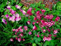 IMG_6024.webp