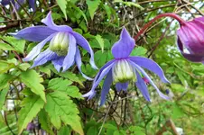 DSCF5896 (2).webp