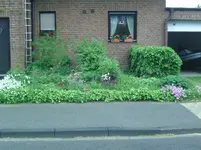 Blume (6).webp