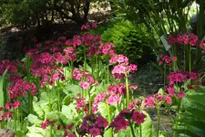 DSCF5822.webp