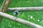 DSCF5894 (2).jpg