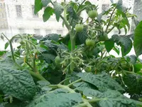 IMG_20160515_105715.webp