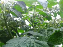 IMG_20160515_105654.webp