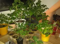 IMG_20160420_230834.webp