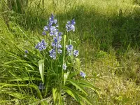 IMG-20160515-WA0000.webp