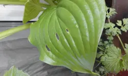 20160515_125221.webp