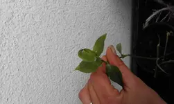 20160515_125310.webp