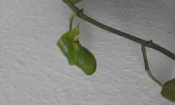 20160515_125433.webp