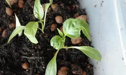 20160515_125634.webp