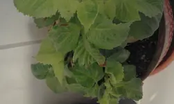 20160515_125748.webp