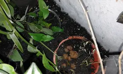 20160515_130314.webp