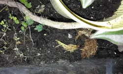 20160515_130621.webp
