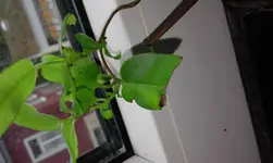 20160515_130828.webp