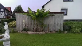 1421963242793.webp