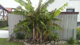 IMAG2470.webp