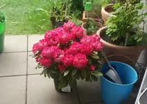 20160515_164929-1.webp