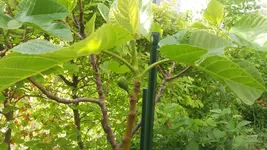 20160515_181336.webp