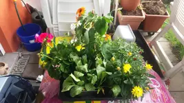 20160515_180145.webp