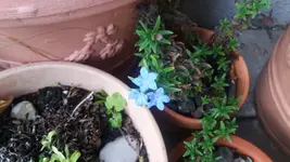 20160515_181048.webp
