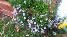 20160515_180808.webp