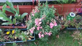 20160515_180208.webp
