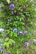 DSCF5897 (2).webp
