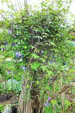 DSCF5908 (3).webp