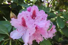 DSCF5801.webp