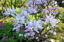 DSCF5803 (2).webp
