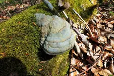 DSCF5759 (2).webp
